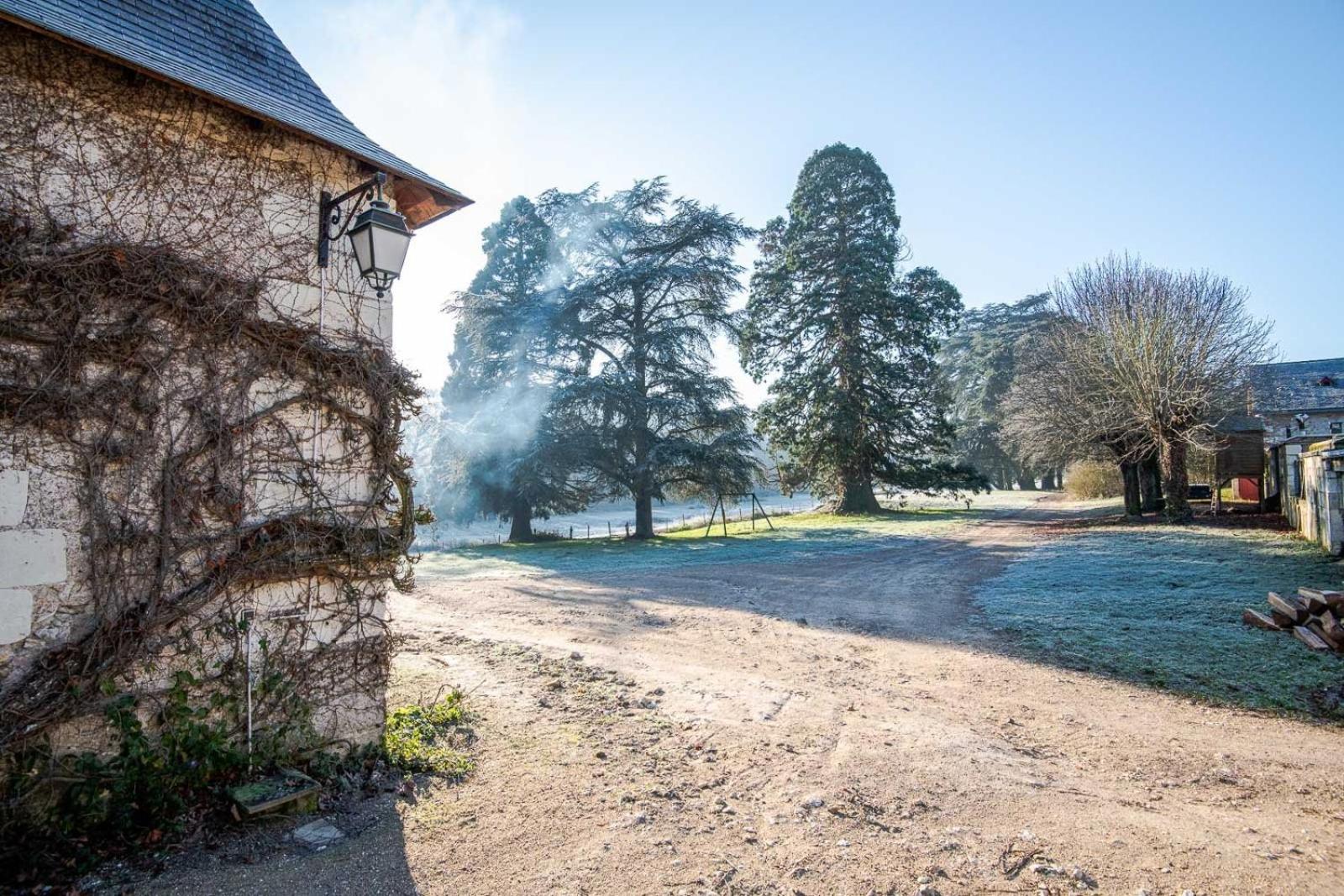 16Th Century Hunting Lodge - Chateau De Nitray Athée-sur-Cher Екстериор снимка